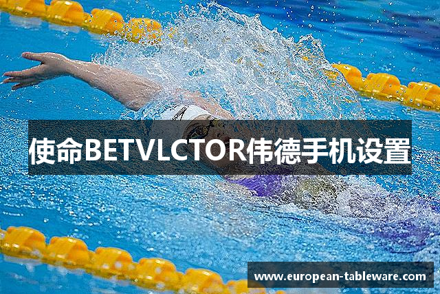使命BETVLCTOR伟德手机设置